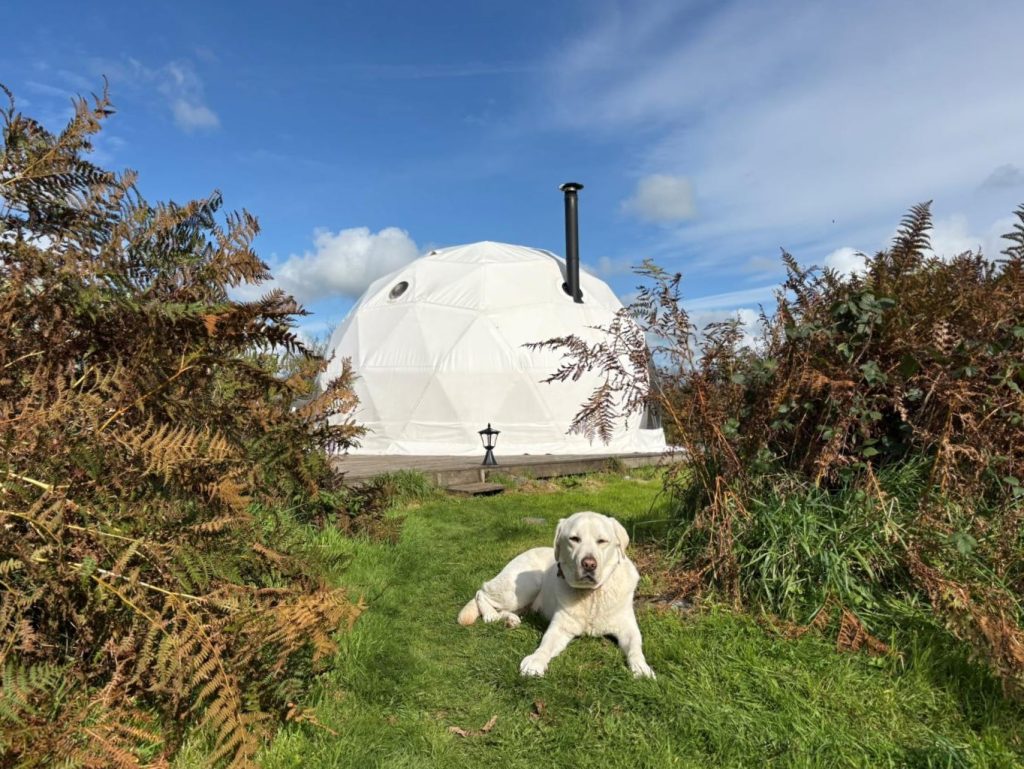 Dog friendly pods