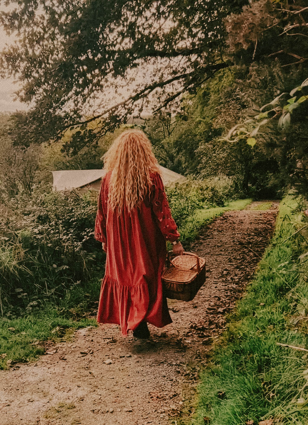 Halloween in Cornwall – autumn at Ekopod