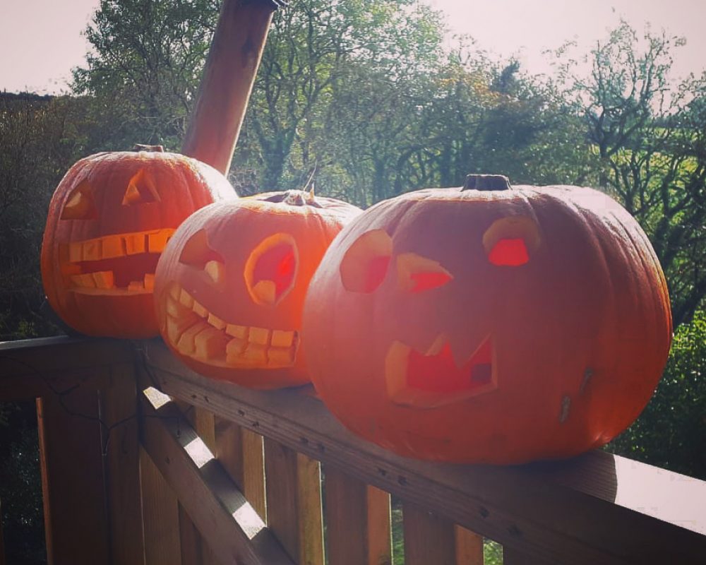 Top Ten Family Friendly Activities in Cornwall October Half Term 2023