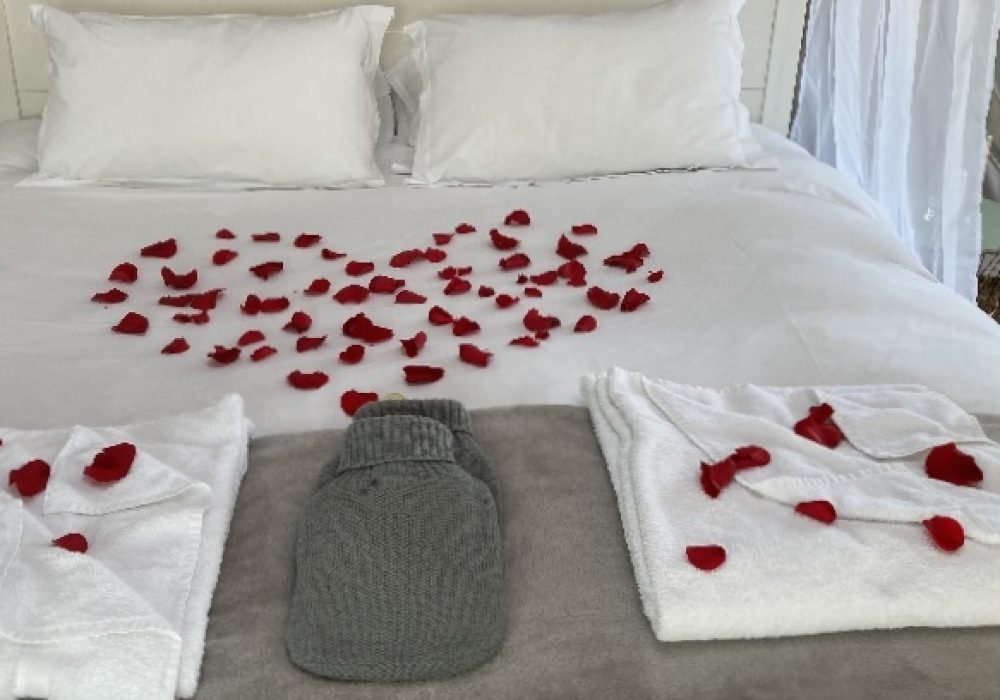 Rose petals on bed - Ekopod glamping site